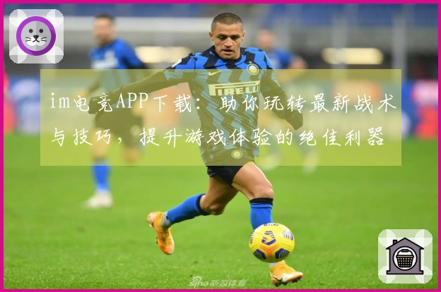 im电竞APP下载：助你玩转最新战术与技巧，提升游戏体验的绝佳利器